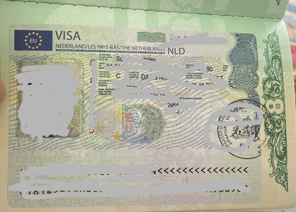 Visa Proof